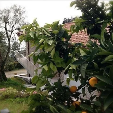 Charmantes In Mit Botanischem Garten Und Seeblick Feriehus Toscolano Maderno